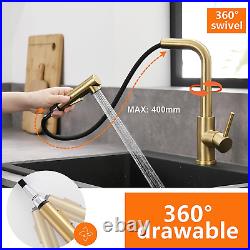 Brushed Gold Kitchen Tap with Pull Out Sprayer Stainless Swivel Single Lever