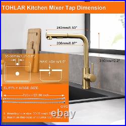 Brushed Gold Kitchen Tap with Pull Out Sprayer Stainless Swivel Single Lever