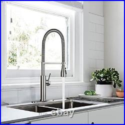 Stainless Steel Kitchen Sink Faucet with Pull Down Sprayer Spring Brushed Nickel