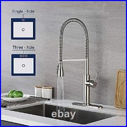 Stainless Steel Kitchen Sink Faucet with Pull Down Sprayer Spring Brushed Nickel